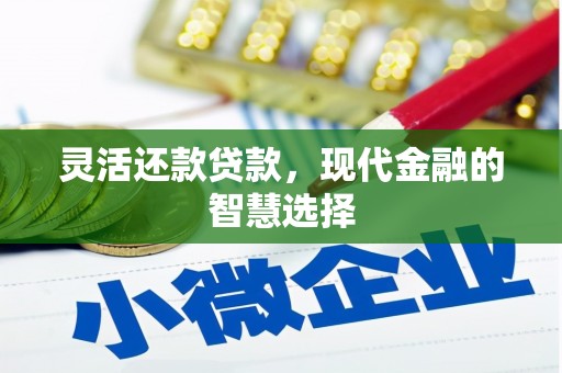 绥滨灵活还款贷款，现代金融的智慧选择