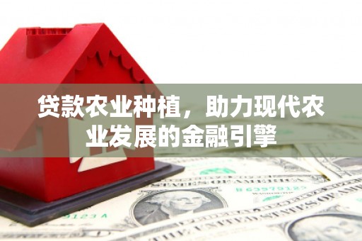 绥滨贷款农业种植，助力现代农业发展的金融引擎