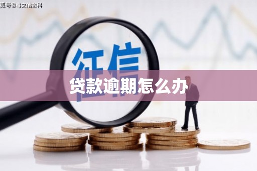 绥滨贷款逾期怎么办