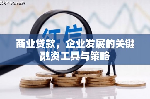 绥滨商业贷款，企业发展的关键融资工具与策略