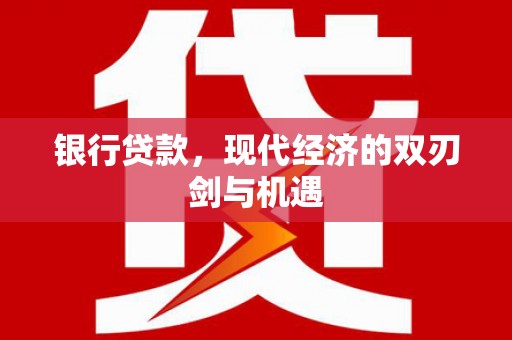 绥滨银行贷款，现代经济的双刃剑与机遇