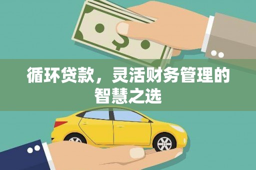 绥滨循环贷款，灵活财务管理的智慧之选