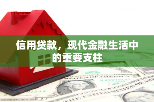 绥滨信用贷款，现代金融生活中的重要支柱