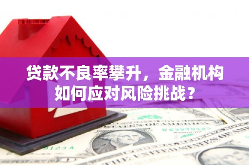 绥滨贷款不良率攀升，金融机构如何应对风险挑战？
