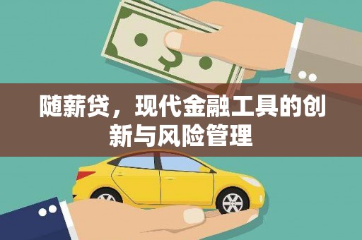 绥滨随薪贷，现代金融工具的创新与风险管理