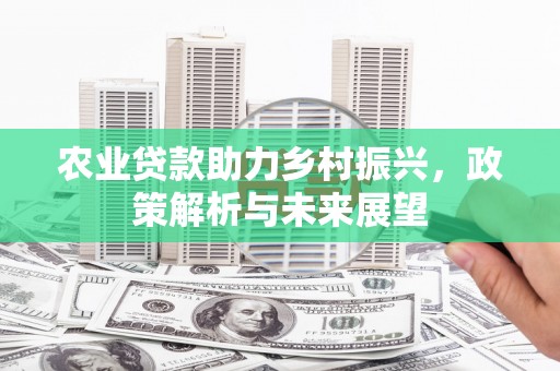 绥滨农业贷款助力乡村振兴，政策解析与未来展望