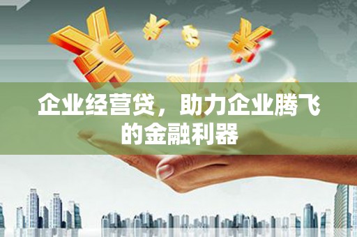 绥滨企业经营贷，助力企业腾飞的金融利器