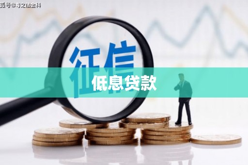 绥滨低息贷款