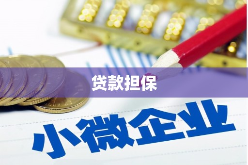 绥滨贷款担保