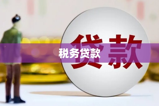 绥滨税务贷款
