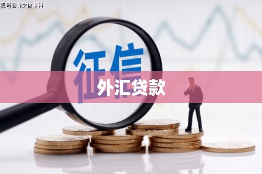 绥滨外汇贷款