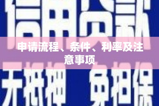 绥滨申请流程、条件、利率及注意事项