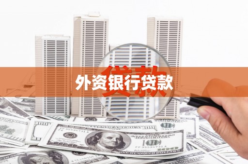绥滨外资银行贷款