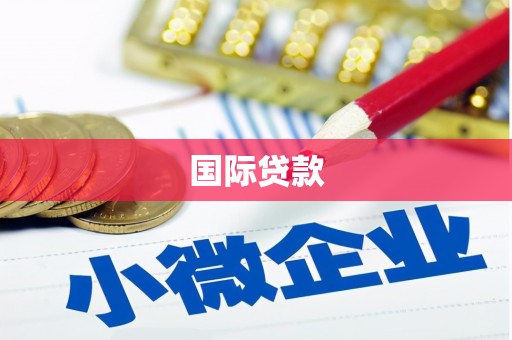 绥滨国际贷款