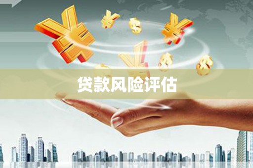 绥滨贷款风险评估
