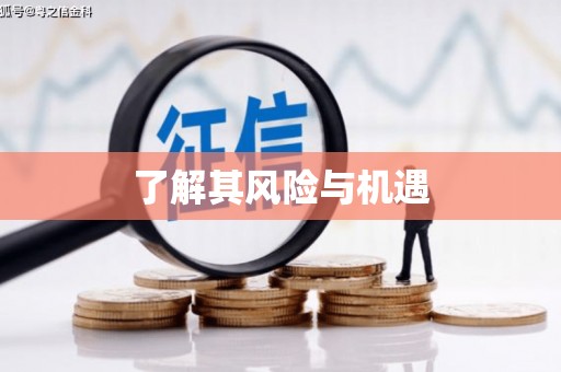 绥滨了解其风险与机遇