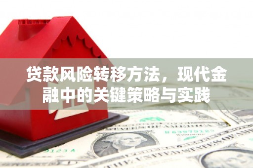 绥滨贷款风险转移方法，现代金融中的关键策略与实践