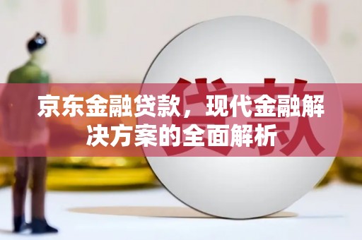 绥滨京东金融贷款，现代金融解决方案的全面解析