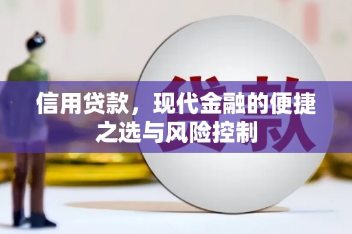 绥滨信用贷款，现代金融的便捷之选与风险控制