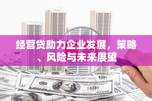 绥滨经营贷助力企业发展，策略、风险与未来展望