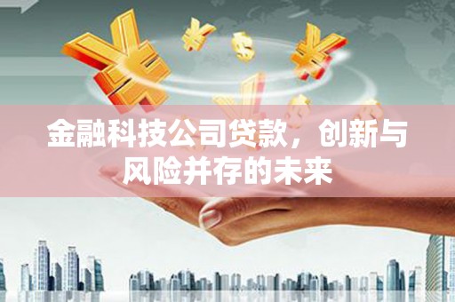 绥滨金融科技公司贷款，创新与风险并存的未来