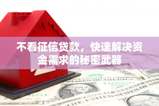 绥滨不看征信贷款，快速解决资金需求的秘密武器