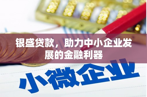 绥滨银盛贷款，助力中小企业发展的金融利器