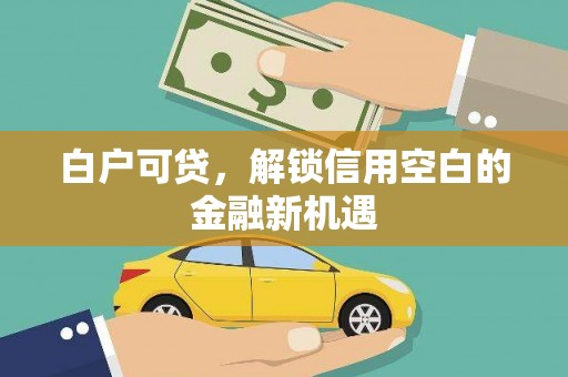 绥滨白户可贷，解锁信用空白的金融新机遇