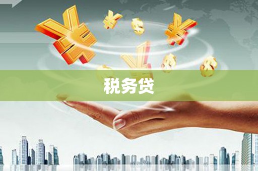 绥滨税务贷