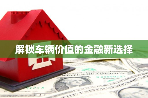 绥滨解锁车辆价值的金融新选择