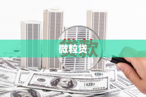 绥滨微粒贷