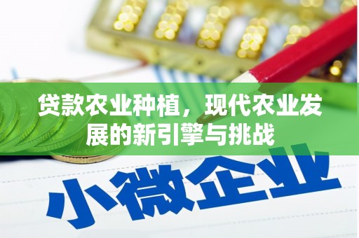 绥滨贷款农业种植，现代农业发展的新引擎与挑战