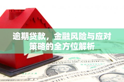 绥滨逾期贷款，金融风险与应对策略的全方位解析