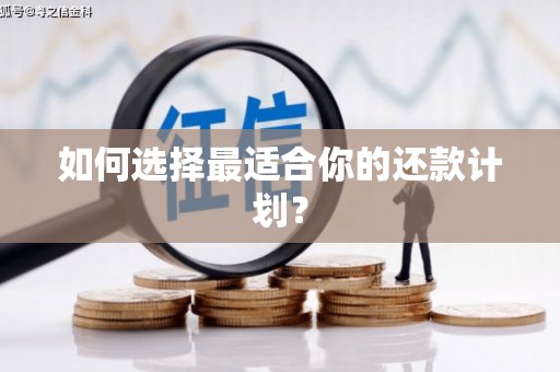 绥滨如何选择最适合你的还款计划？