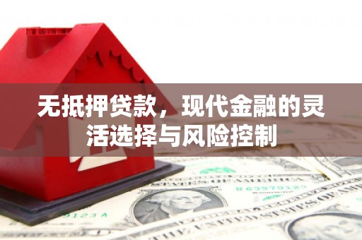 绥滨无抵押贷款，现代金融的灵活选择与风险控制