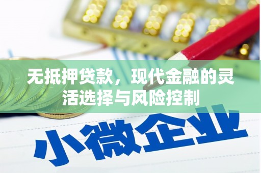 绥滨无抵押贷款，现代金融的灵活选择与风险控制