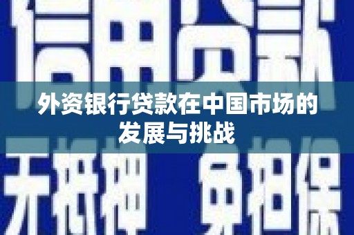 绥滨外资银行贷款在中国市场的发展与挑战