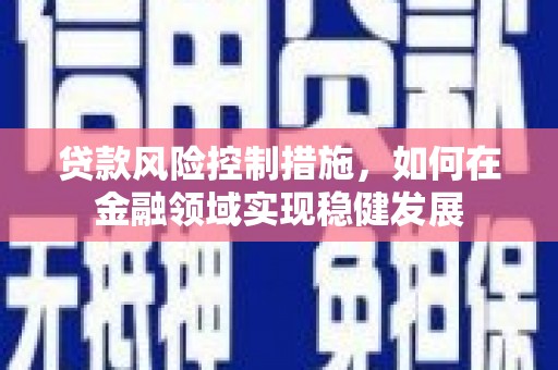 绥滨贷款风险控制措施，如何在金融领域实现稳健发展