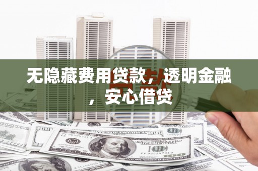 绥滨无隐藏费用贷款，透明金融，安心借贷