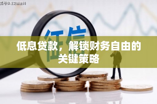 绥滨低息贷款，解锁财务自由的关键策略