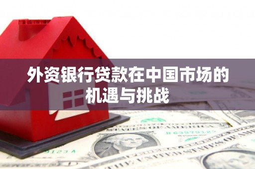 绥滨外资银行贷款在中国市场的机遇与挑战