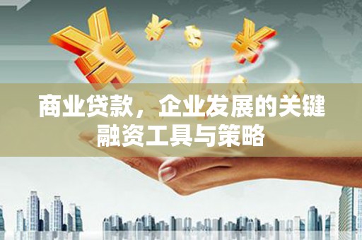 绥滨商业贷款，企业发展的关键融资工具与策略