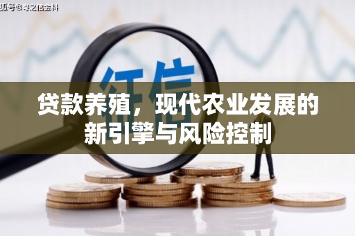 绥滨贷款养殖，现代农业发展的新引擎与风险控制