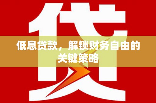 绥滨低息贷款，解锁财务自由的关键策略