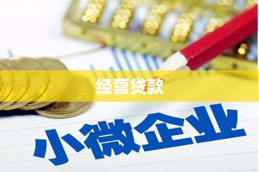 绥滨经营贷款