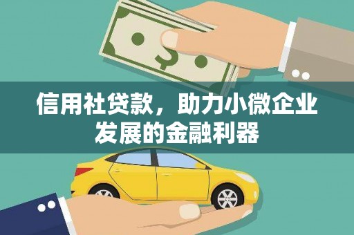 绥滨信用社贷款，助力小微企业发展的金融利器