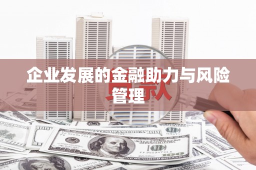 绥滨企业发展的金融助力与风险管理
