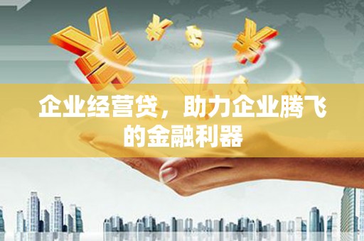 绥滨企业经营贷，助力企业腾飞的金融利器