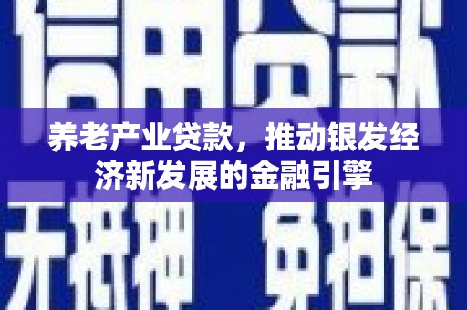 绥滨养老产业贷款，推动银发经济新发展的金融引擎