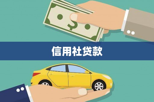 绥滨信用社贷款